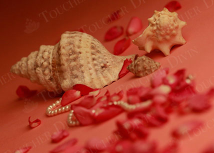 couple receiving message from two masseuses